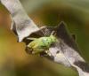 230250 – Photo : Bernard Ginesy – France (13)